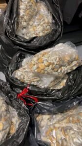 Magic Mushroom Shops Near Me UK and Europe