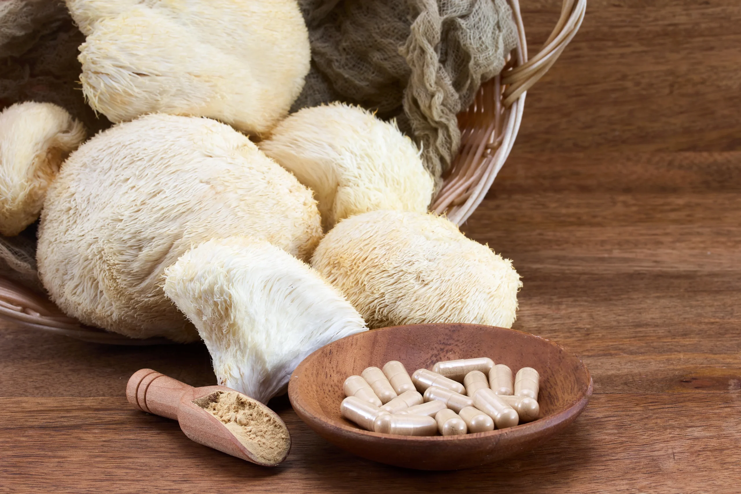 Where to Buy Lion’s Mane Mushroom in the UK: A Complete Guide for Cognitive Health Enthusiasts