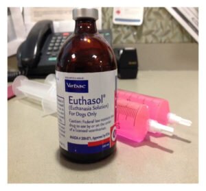 Buy Nembutal (Pentobarbital Sodium) Injectable Vial (Liquid Form) UK